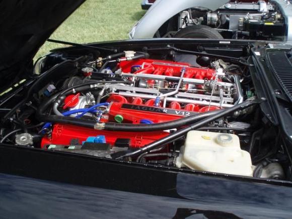 Car show1