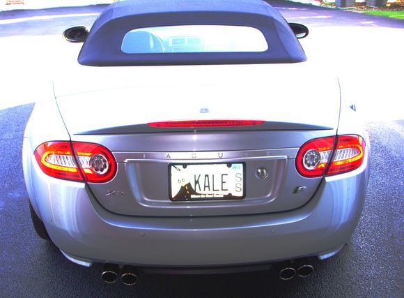 Rear 2010 Tail lights mod