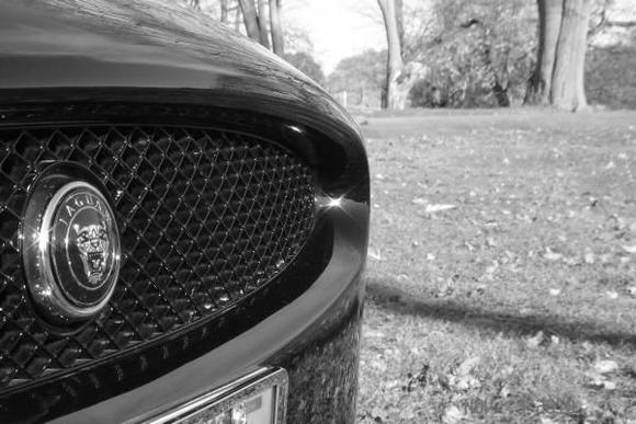 On the prowl..........