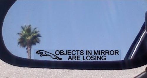 driver's door mirror