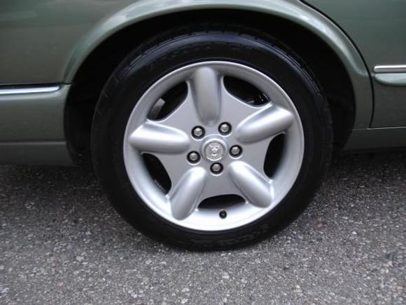 Jaguar photo file 028