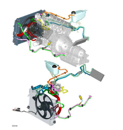 Pic of N/A 4.2.  No such hose in the diagram.