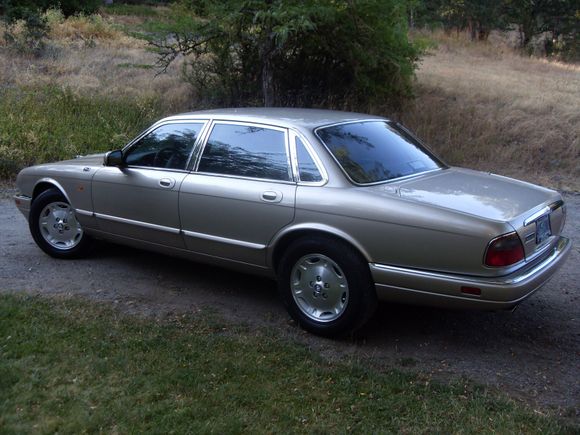 Found my favorite color option (hides dirt well too)