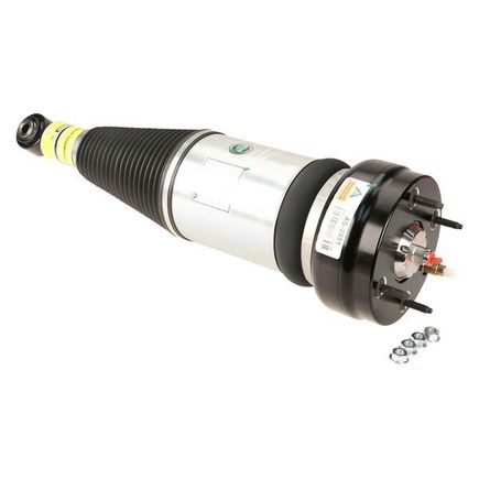 Photo of an Arnott X350 rear air shock