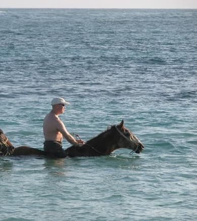 Jon swimming with horse