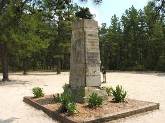 Jersey Pines