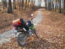 flatwoods rides