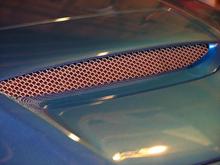 mesh grill for the hood scoop