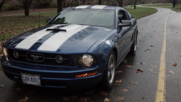 Front view