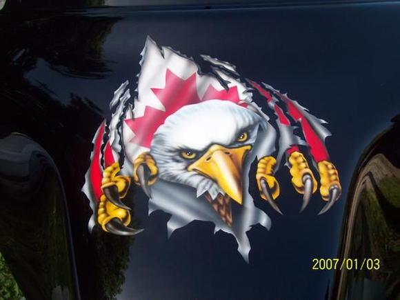 Eagle on a fairing