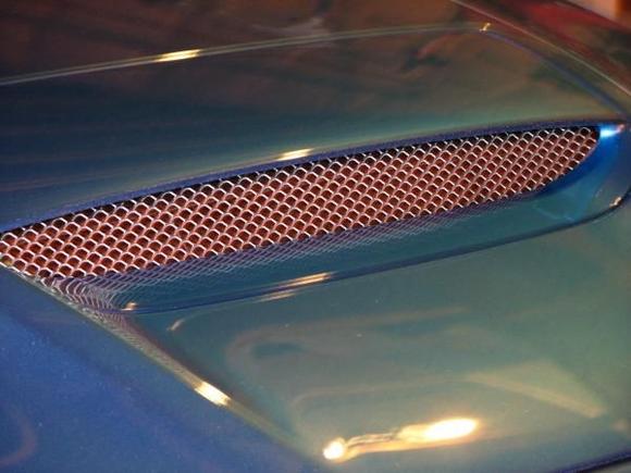 mesh grill for the hood scoop