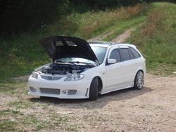 carbon fiber EVO hood