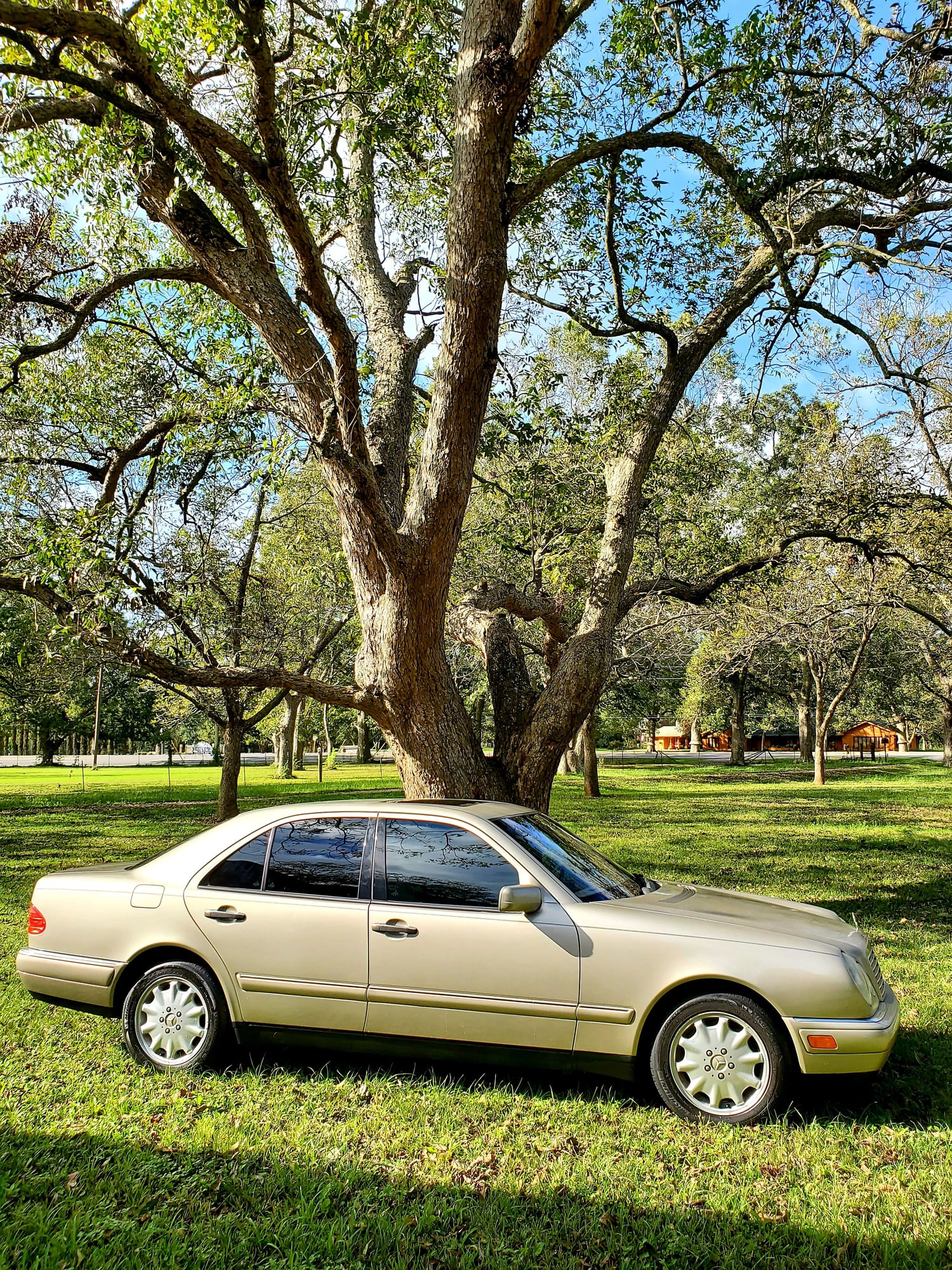 1999 Mercedes-Benz E300 - 1999 Mercedes Benz E300TD - Used - VIN Wdbjf25h9xa937168 - 123,850 Miles - 6 cyl - 2WD - Automatic - Sedan - Beige - Sugarland, TX 77479, United States