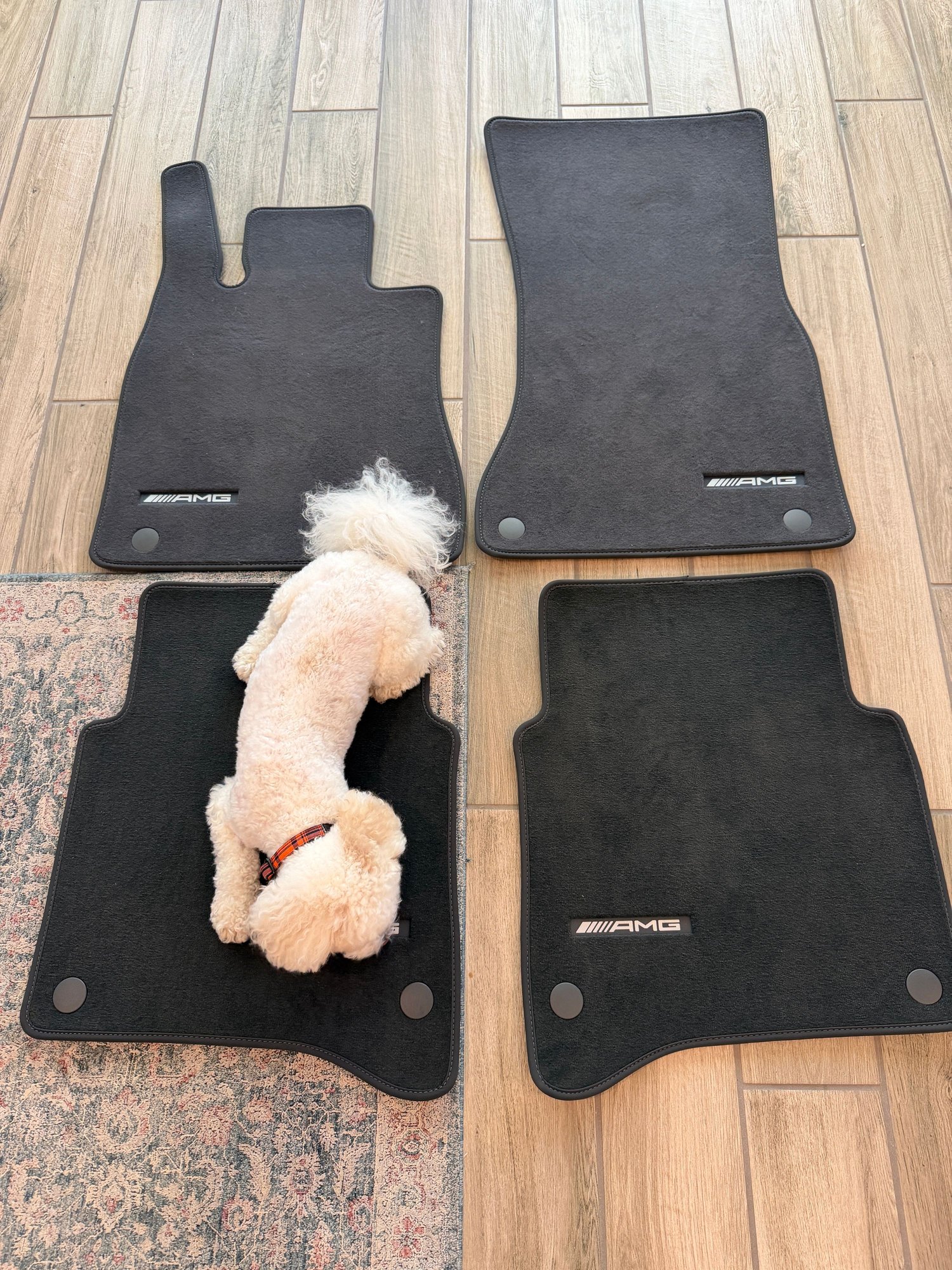 Interior/Upholstery - Brand new, unused S Class floor mats (AMG Line) (W223) 2022 and newer - New - 2022 to 2026 Mercedes-Benz S-Class - Sacramento, CA 95628, United States