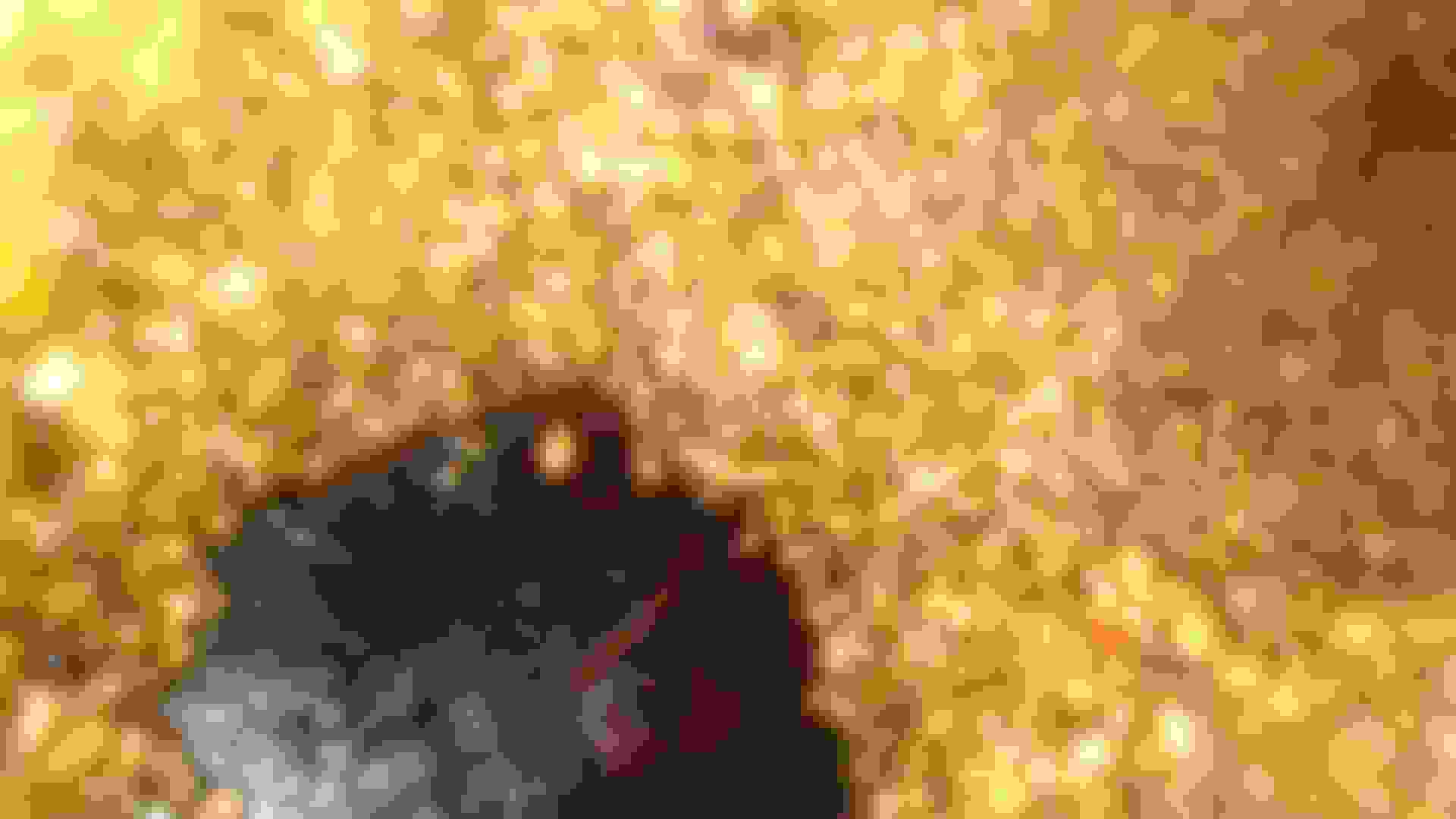 <img src=