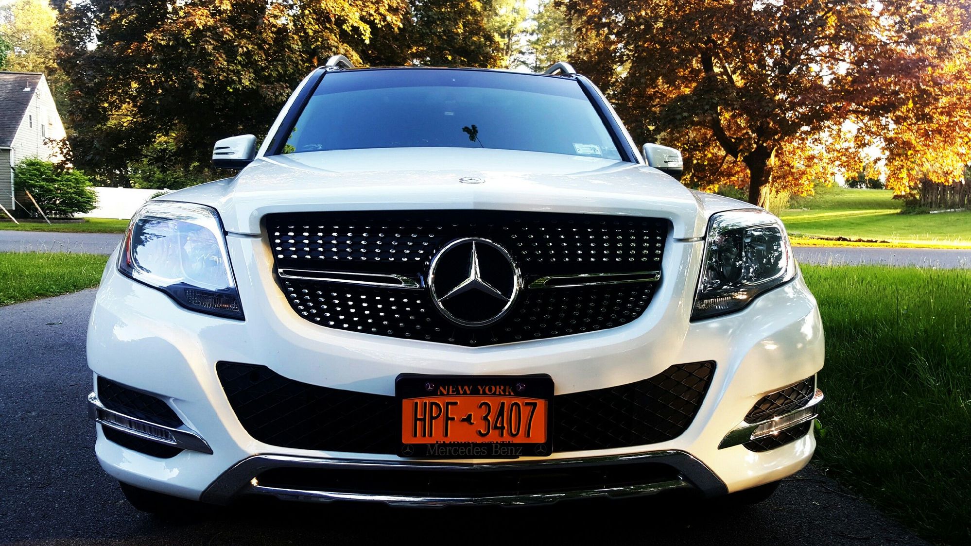 Diamond Sport grille ? Anyone ? Page 3 Forums