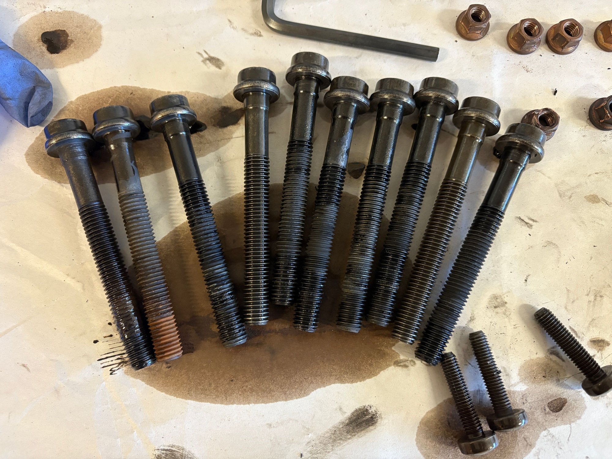 Which one of these head bolts was near the coolant leak?