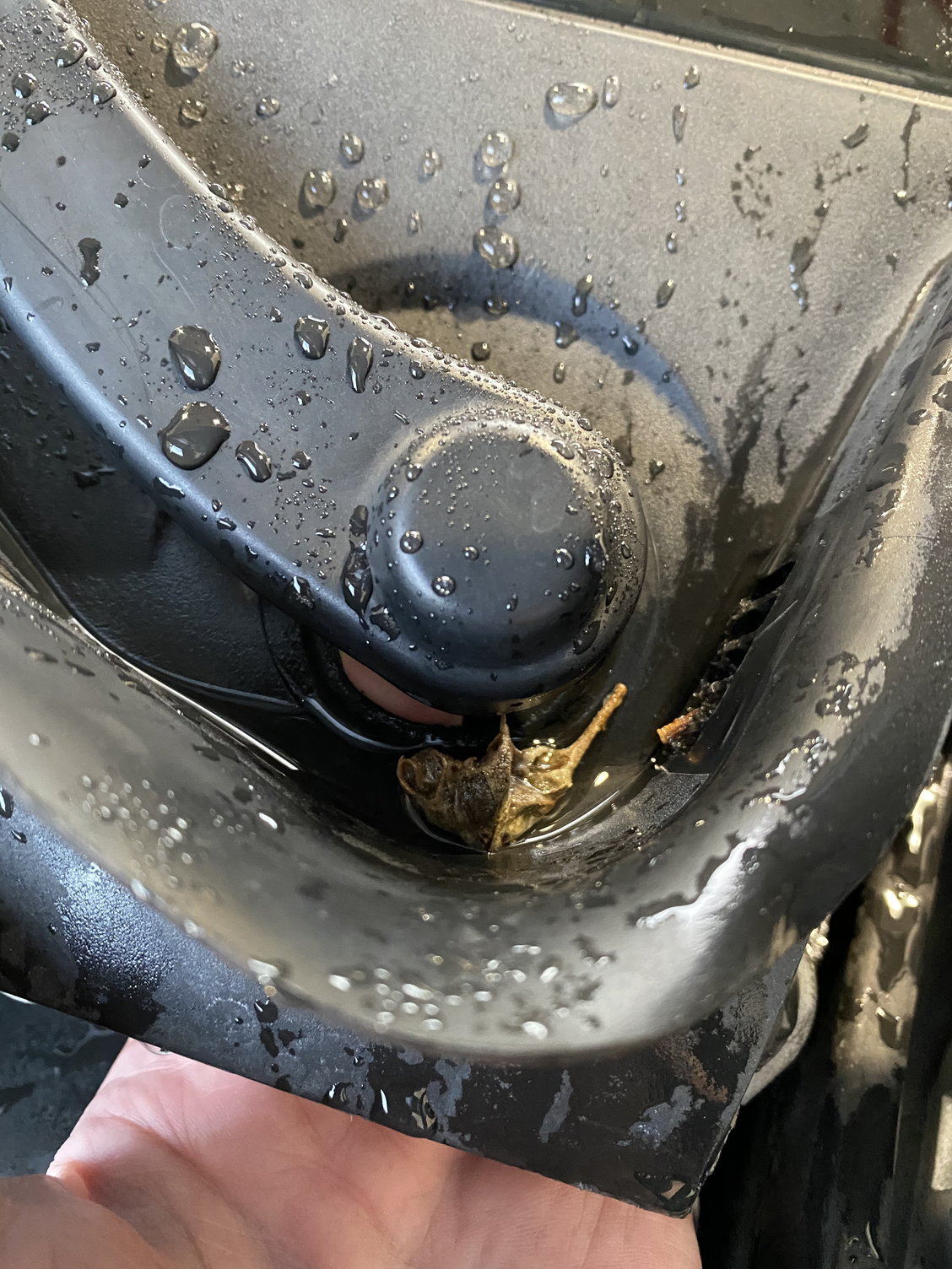 Is it safe using RainX in my Jeep? - Maintenance/Repairs - Car Talk