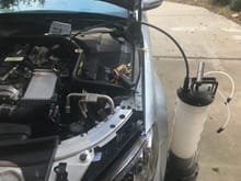 Removing old oil during a DIY oil change using a siphon device. Got all 7.5 qts out this way!