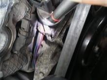Exposed wiring running alongside alternator??? Shouldnt it be covered? Black zip tie that's literally desintigrating.