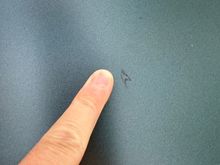 Gouge in PPF on the hood. 