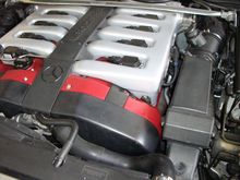 Sure the strut bar looks nice, but how about the crinkle red powder coat on the valve covers and the cross-ram intake.  Makes you want to rethink driving a V8.