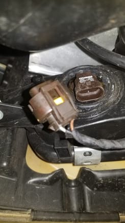 Electrical connectors  under front bumper