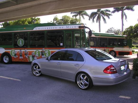 The Benz relaxing on the UM campus