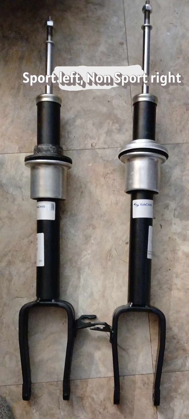 Reference photo sport vs non sport Sachs