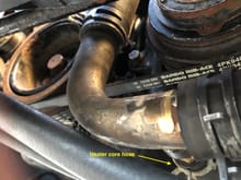 Straight on view of the lower radiator hose