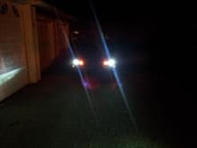 Hid frontal