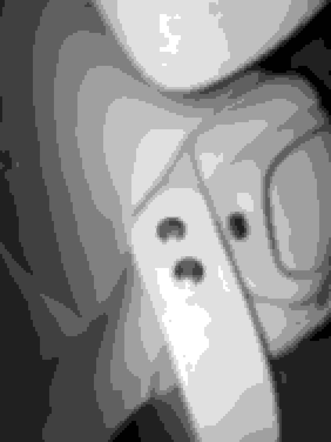 Broken seat belt loop Page 2 MyG37