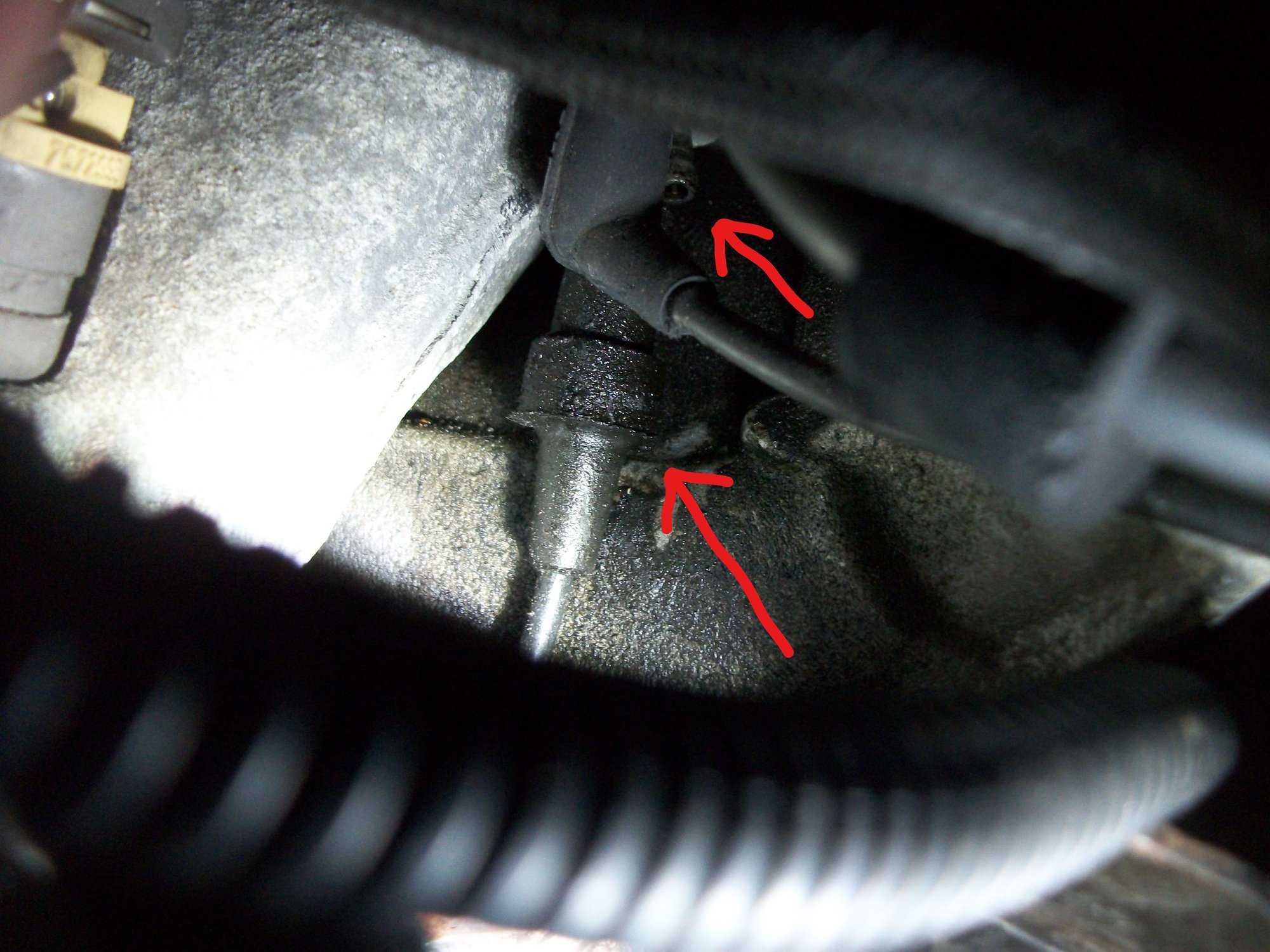 Squeaky Noise From Engine