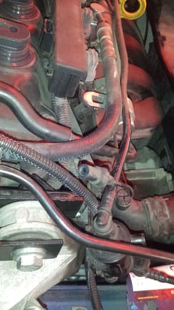Inside of the engine mount bracket.