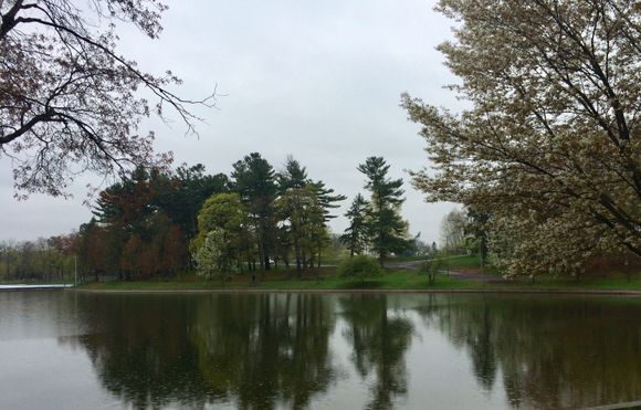 Spring time in the soggy NE