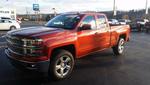 New Beast