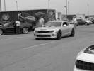 MY LSX TOYS