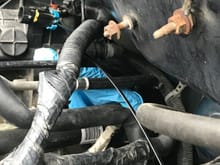 What is that hose that is cut at the back of the intake manifold?
