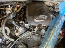 Cammed the 4.8