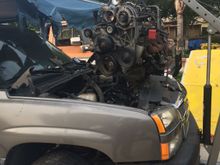 4.8 out