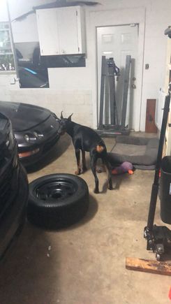 He wanted to help swap wheels