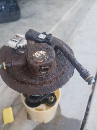 Never imagined the bucket would be so bad.