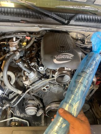 Cammed the 4.8