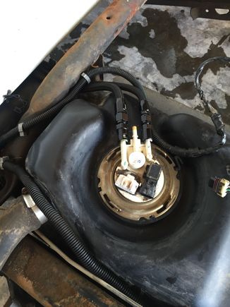 Got some lines built and plumbed at the tank!