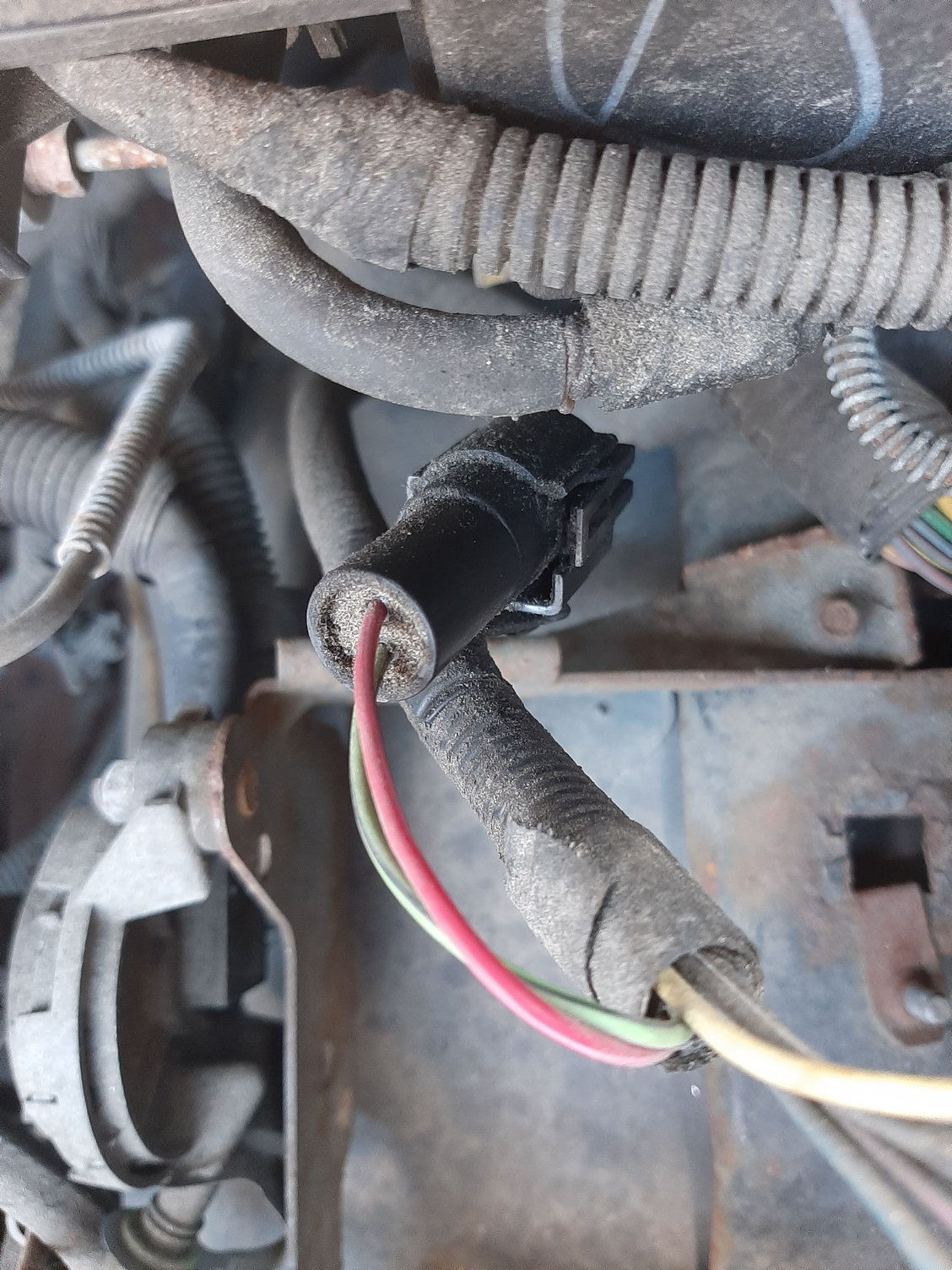 Truck Cap Wiring - Ranger 2000 - Ranger-Forums - The Ultimate Ford