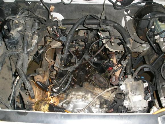 Engine compartment