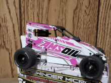These are 1/18. Ther are have wing model. 