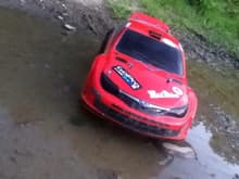 Sitting in the Mud