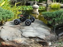 Thunder Tech Racing Tremor LTD with RC4WD Beadlocks and RC4WD Rumbles