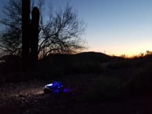 Sonoran Desert,AZ  Ghost Spyder on trail
